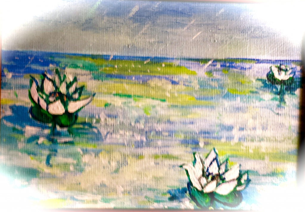 16Waterlilies